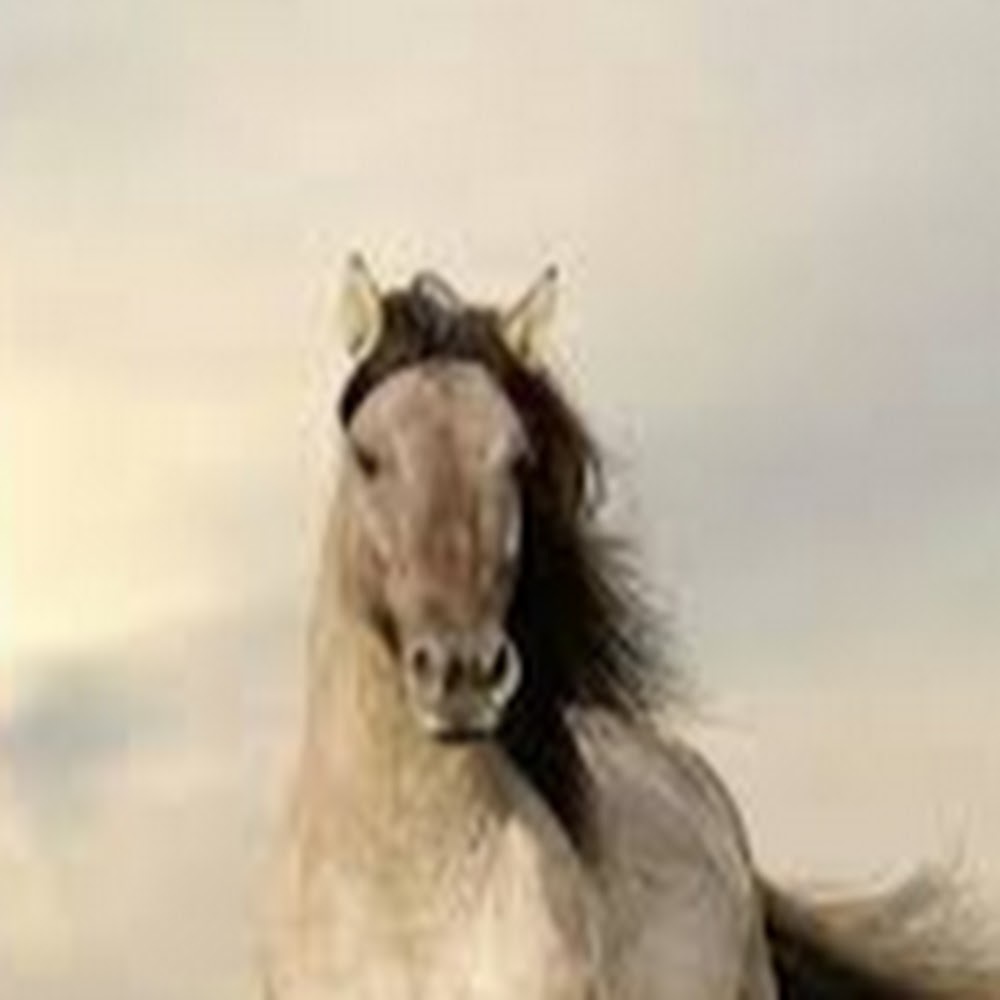 Meet your Posher, Martica